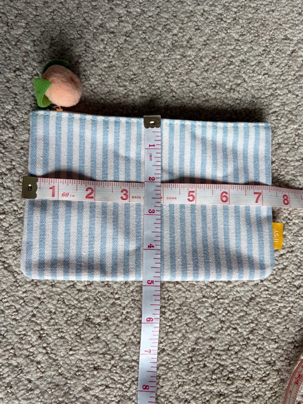IPSY glam bag Peachy Picnic Pouch blue white stripe